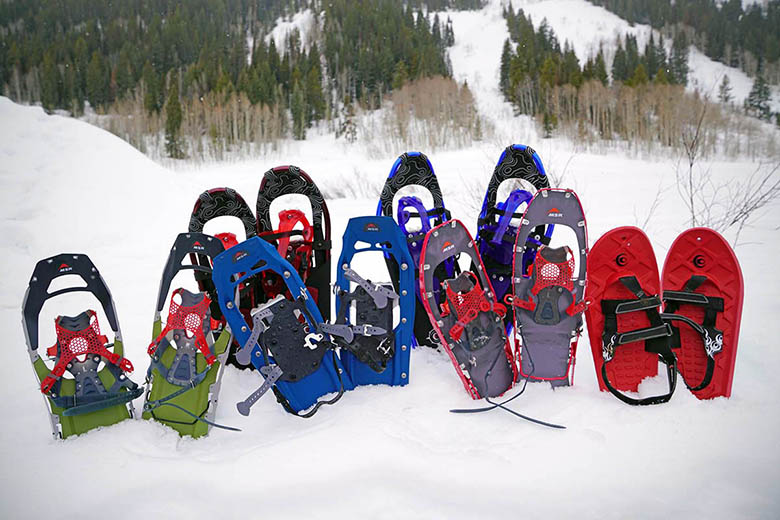 Snowshoes (lined up in snow)